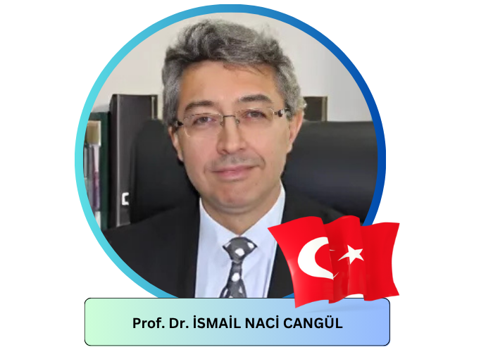 PLENARY SPEAKERS IndoMS International Conference On Mathematics And plenary-speakers-indoms-international-conference-on-mathematics-and